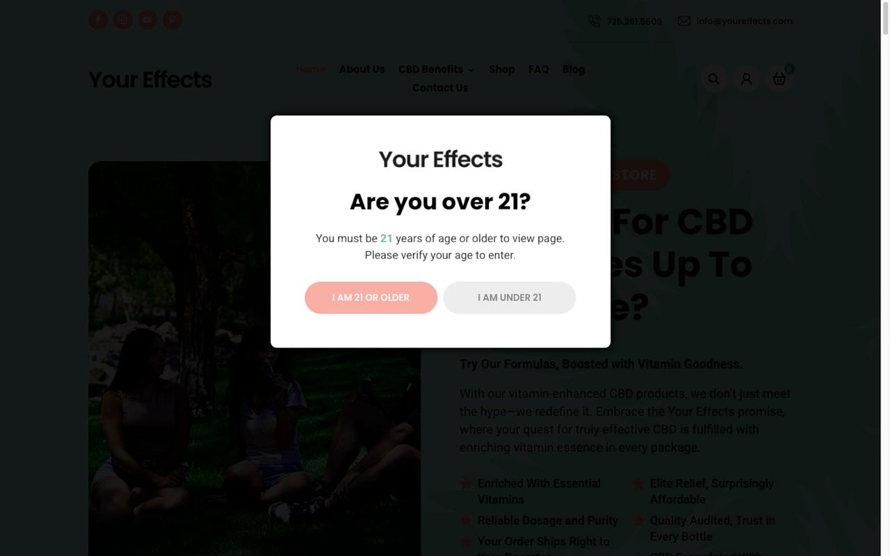 Your Effects website built by Spectral Vision